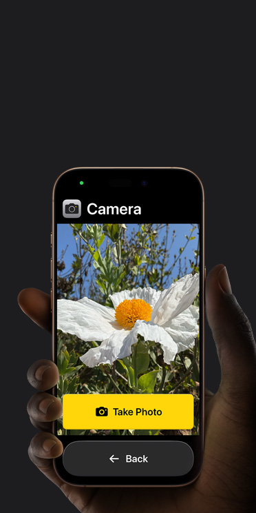 iPhone 16 Pro screen showing simplified Camera app interface with a white flower in the frame, “Take Photo” button and “Back” button below